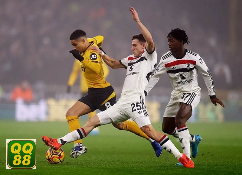 Thể thao QQ88 - Dữ liệu nền tạo điểm tựa cho quá trình nhận định