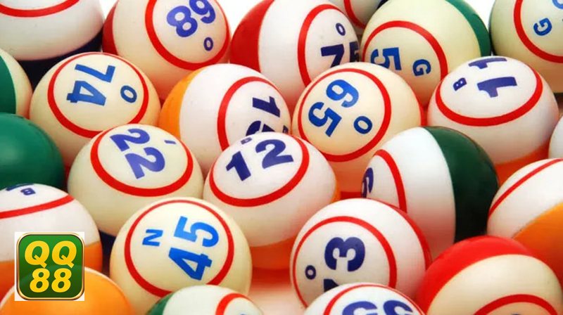 Mơ thấy rắn - Biểu tượng của thay đổi và sự chuyển mình